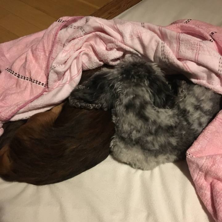 6e715bfd 6fe1 4683 a4bc 9d7adf5c3543