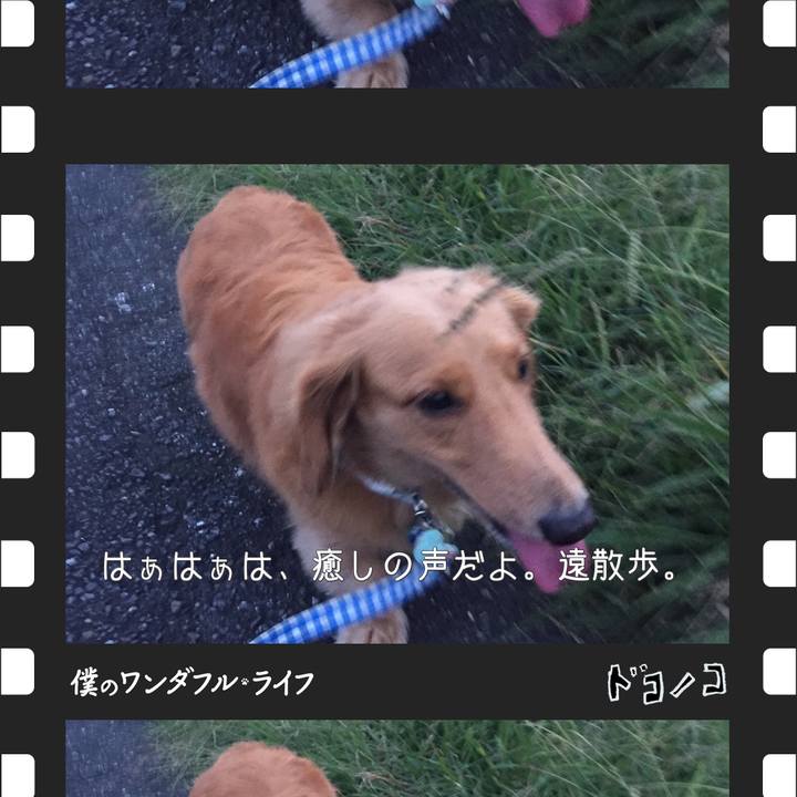 6e723f18 3c8d 4cf9 92f8 4a20a489cf1e