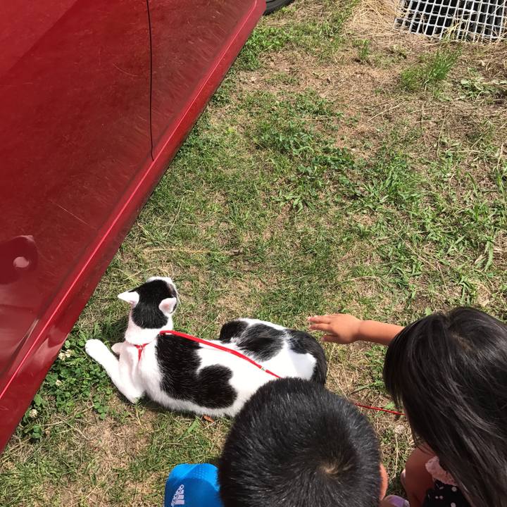 6e72b1aa c6f0 4f3a b7fc 0ddaa14d01d9