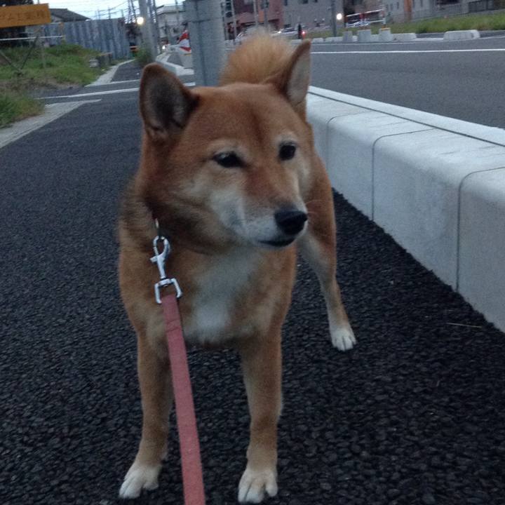 6e739eeb 2794 4cb5 884f d6bc297d7190