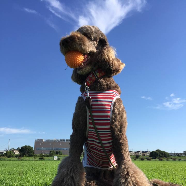 6e73c1e1 9735 4b70 9aa6 5b4e8daca8fc