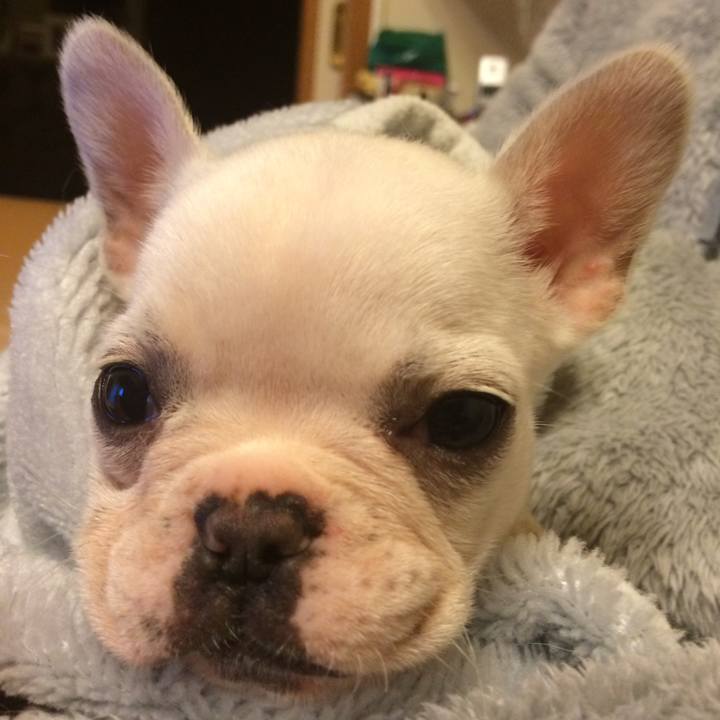 6e73dbaa 48cc 45bd 9630 5ecea64cf623