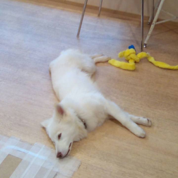 6e7462f9 9acf 4190 bf8d 6cc5362e4deb