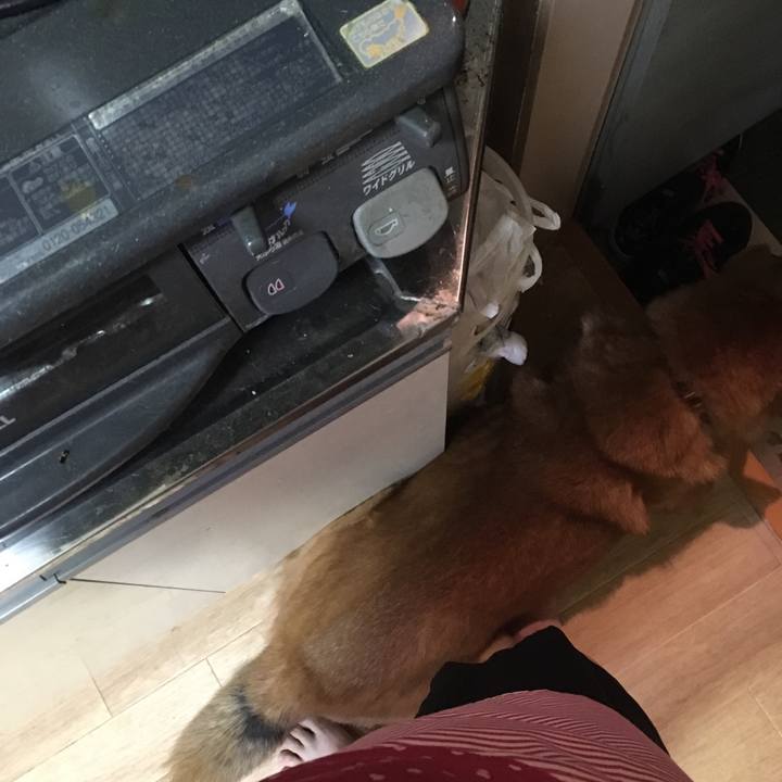 6e746643 68ac 4f4a 9887 a6e3147ef3b9