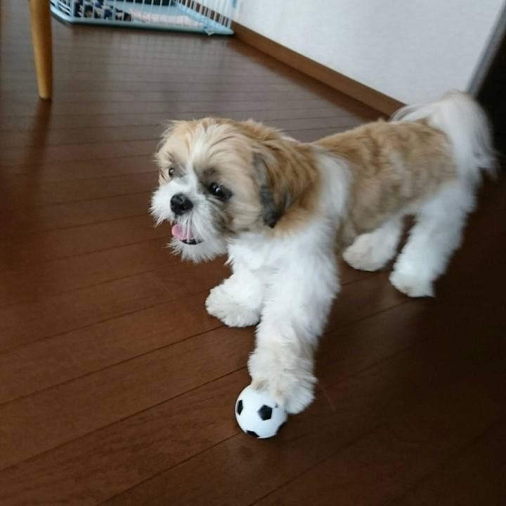 6e759ae3 52d7 4ef4 bbac b379ad2137b9