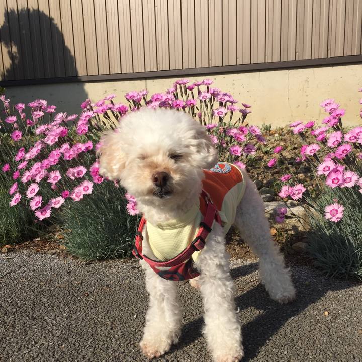 6e75ae54 f16a 4aaf 9f26 ffab67512559