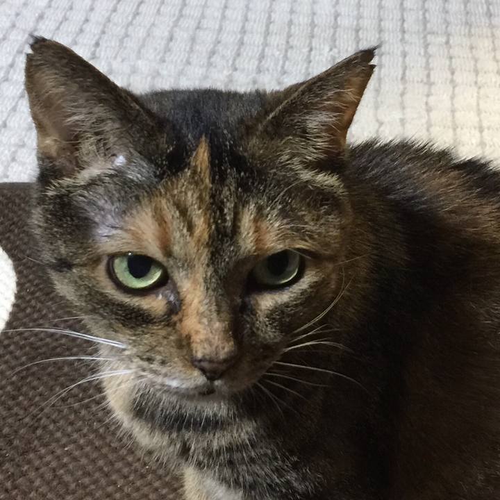 6e765057 8288 4688 9de7 8195c9a558d9