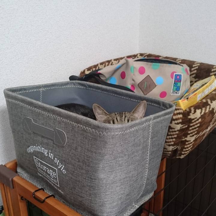 6e771279 66c3 4279 b7d9 331521a08382