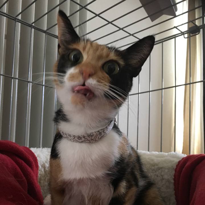 6e77474c d569 4c89 a2fd 4fefdec1aec8