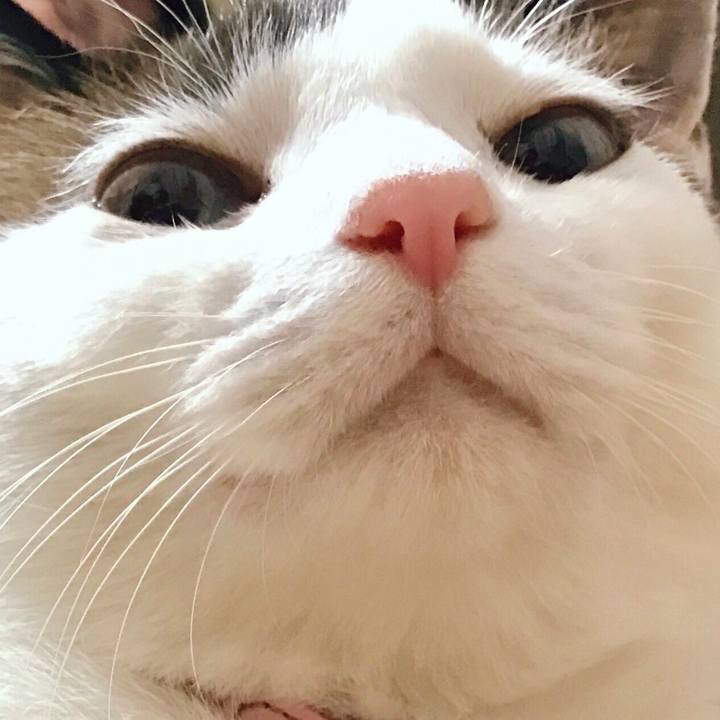 6e778bf0 ba5a 4f79 b4a2 a0bfaaedea07