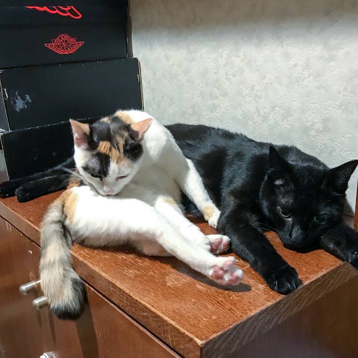 6e78b00b 4640 45ae b343 89ec768c3123