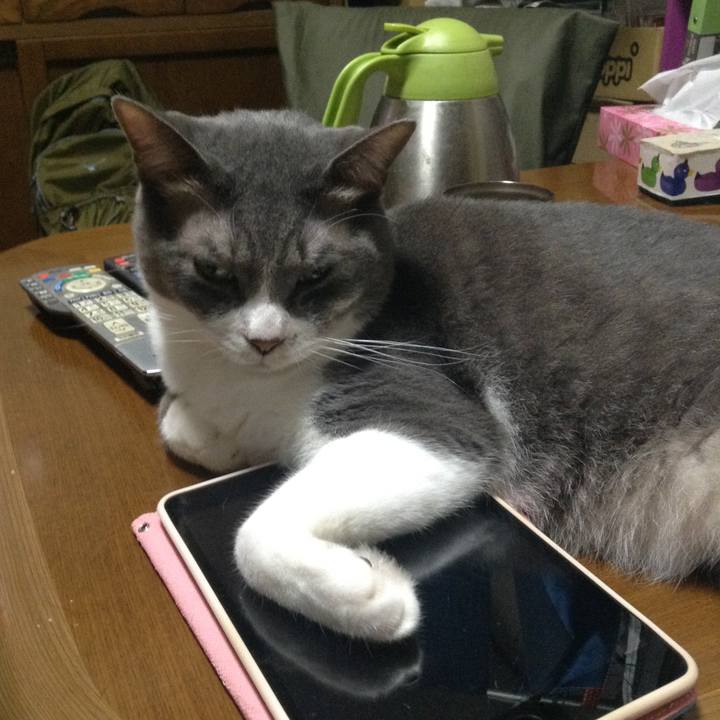 6e79c9c5 e555 48f1 90dc 46044ae8a3da