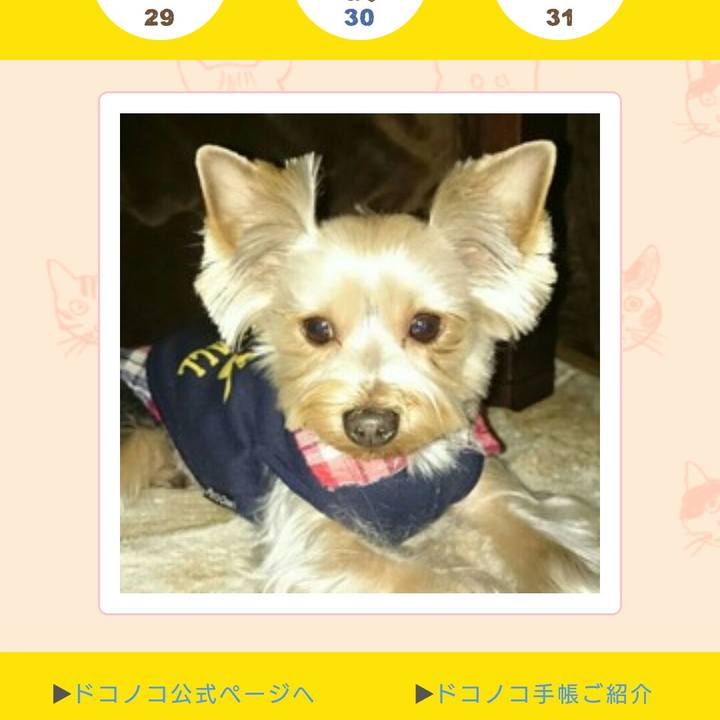 6e7a2424 359b 4d67 9450 52fa42a45d3d