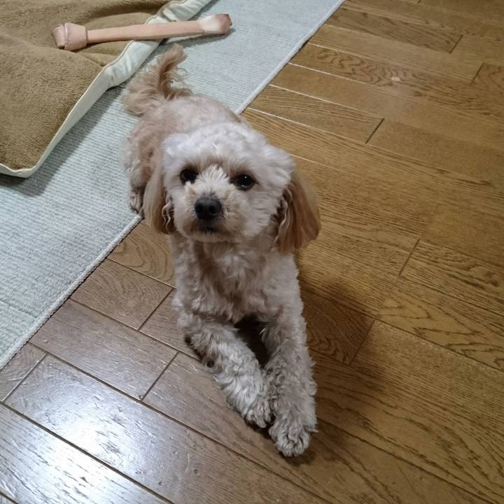 6e7a80d2 fef9 43f4 a473 9ca4f198afc5