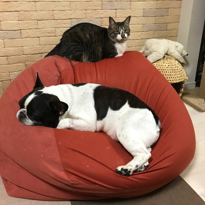 6e7ac821 d8ec 4875 8fc7 58c46ad023f2