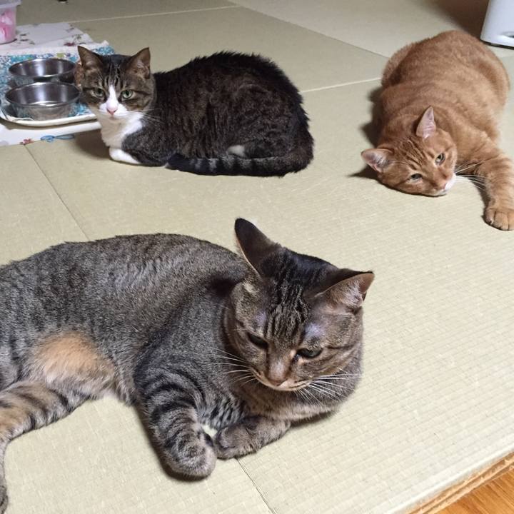 6e7acfb4 81f2 4052 9947 208be8ad39ae