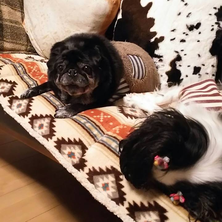 6e7b8a9e b35a 47b1 8d10 3ddba3556093