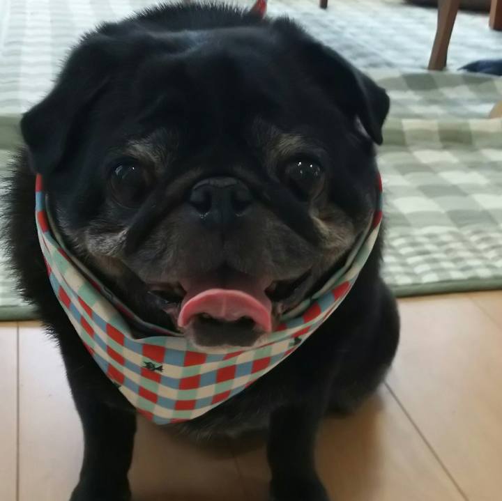 6e7bcd57 9735 492f 982c aaf53e46b389