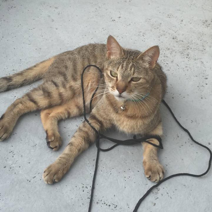 6e7bf955 0031 4cc2 9cf1 19b5ff6e0d90