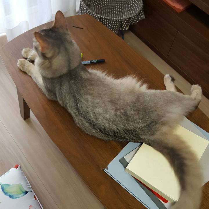 6e7c482e d5ae 4bb6 ba8f b033acba1aa9