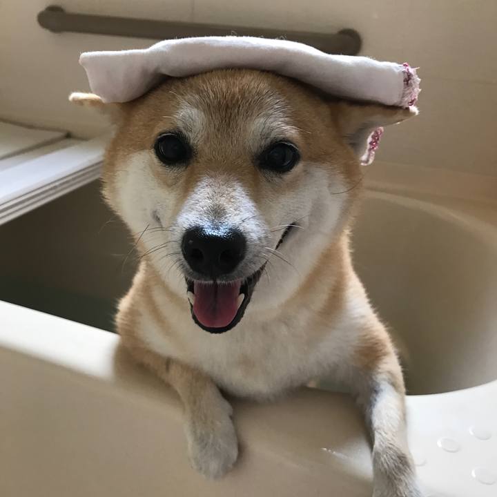 6e7cabf1 5c7b 4fd6 9004 5a60ee6465bd