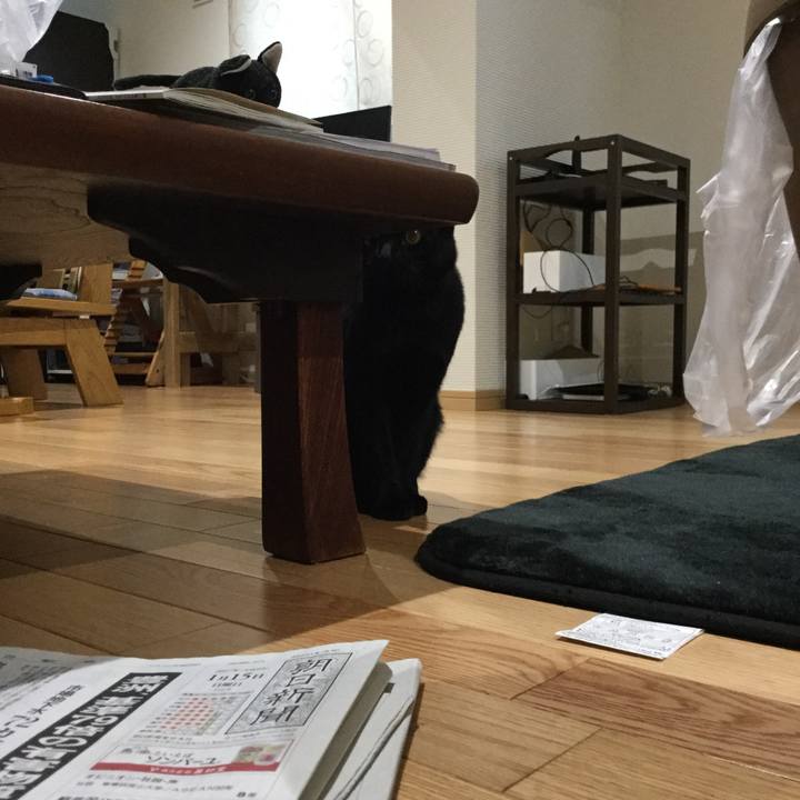 6e7cef50 dea9 4e22 b61e ed0182bd21e0