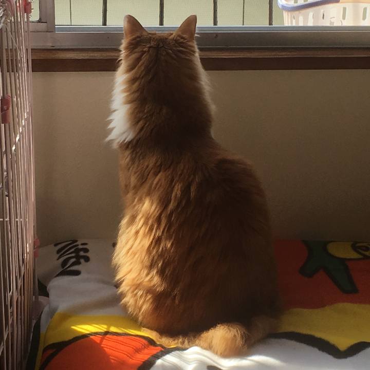 6e7d13de 4edd 4ff2 88bf 2156516c8b7d