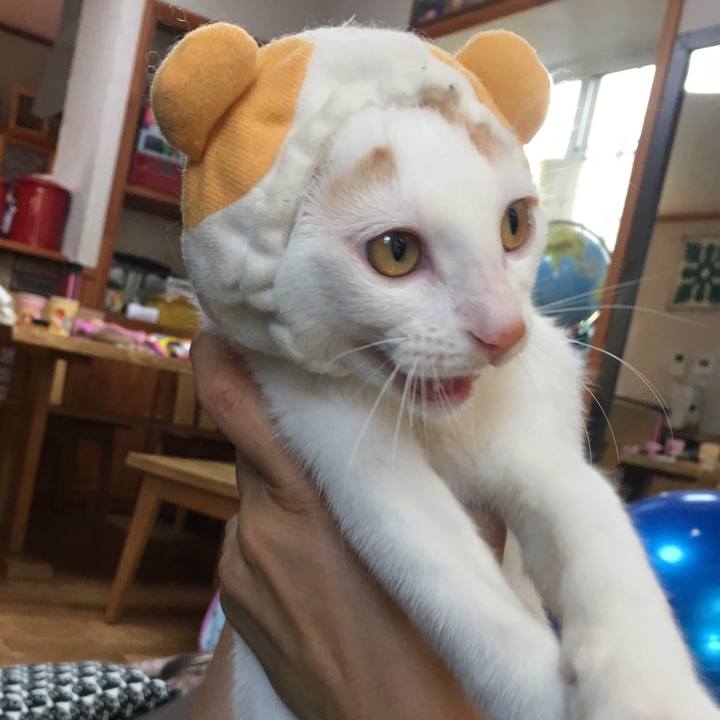 6e7d5ed8 638a 414b 8984 5c7904171365