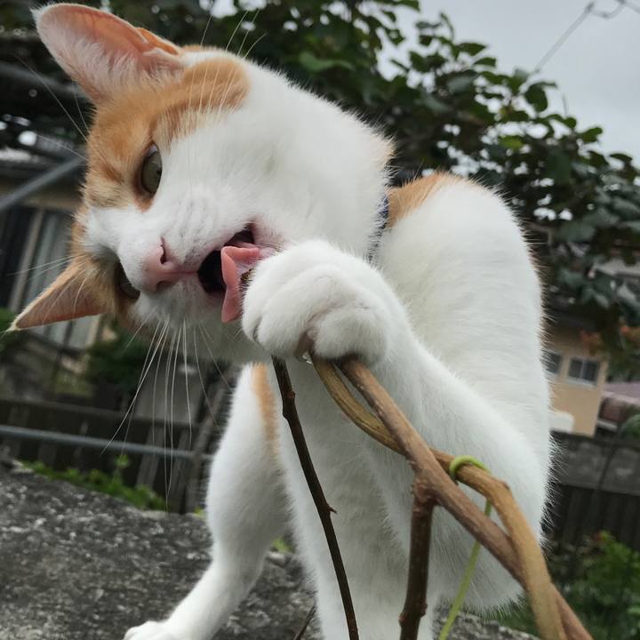 6e7df5b2 d1b2 4ee4 b1ee a14521cc0a33