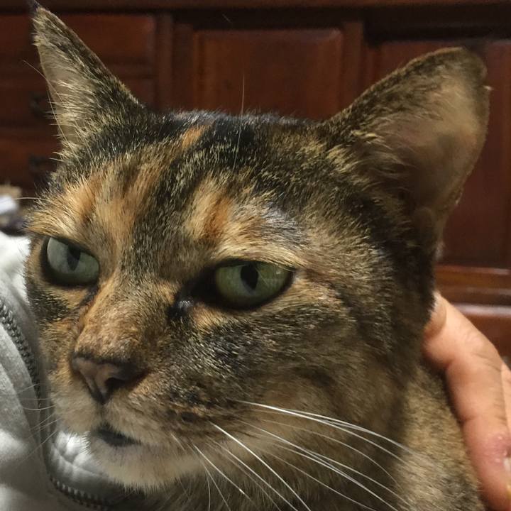 6e7e047c 0add 4aea 8233 c91e907d5b19