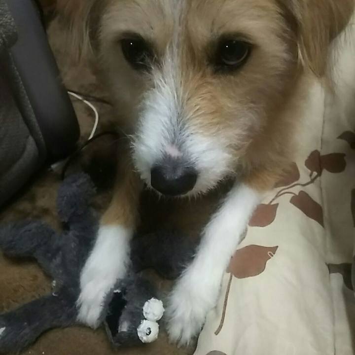 6e7ea083 4516 4dc6 bc8c de498a8c93ac