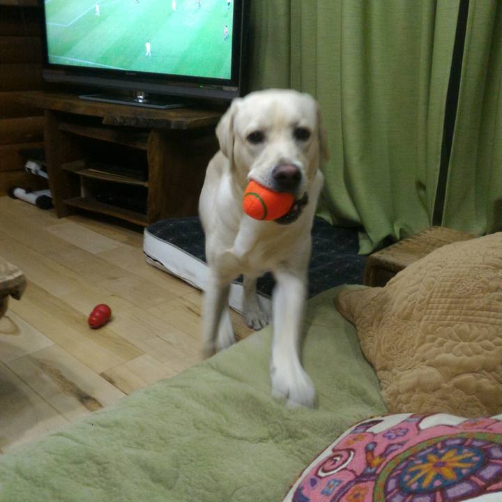 6e7f430a a343 4cc2 b8ce c4648b4c9b31