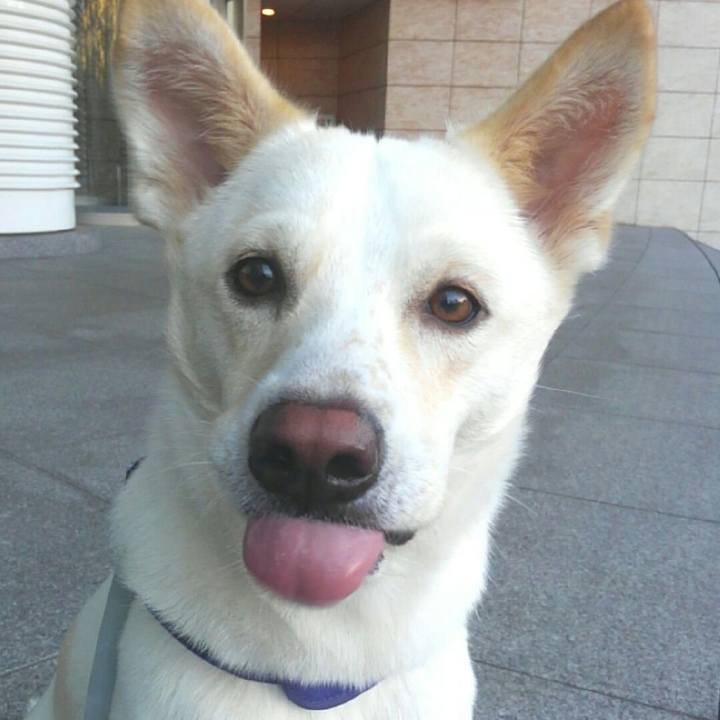 6e7f5887 8e38 4310 9c4a ca2fa35c7938