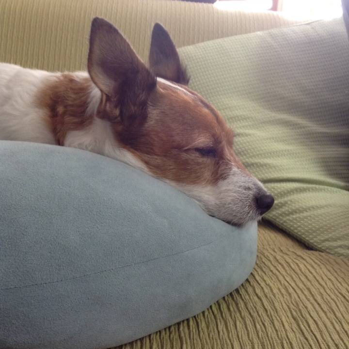 6e7fc286 017a 4608 a5e4 4881c047169e