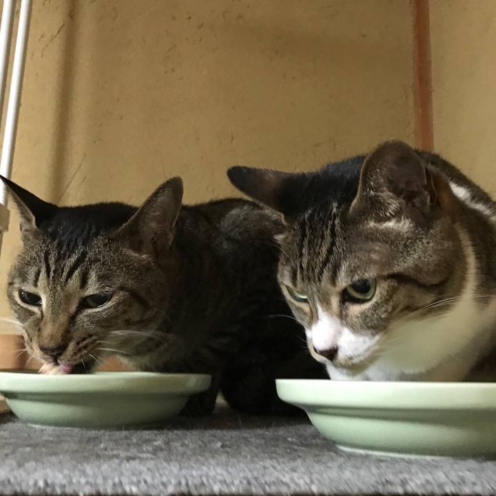 6e7fd1c8 4eae 4b38 86af d25021b3d5c0