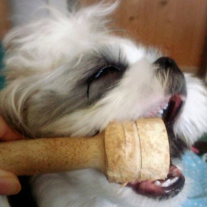 6e7ff95a 896b 4e1f 9068 31dc7b875cd8