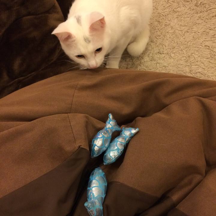 6e80066b 4d18 44ed 8fb0 8f516b9ccd14