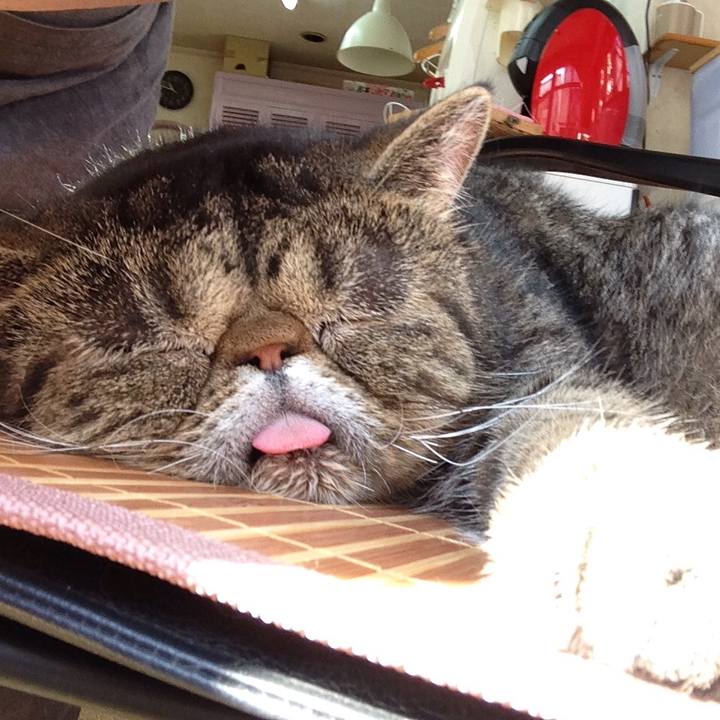 6e8130a2 d2bb 4779 be7e 8d608af41b44