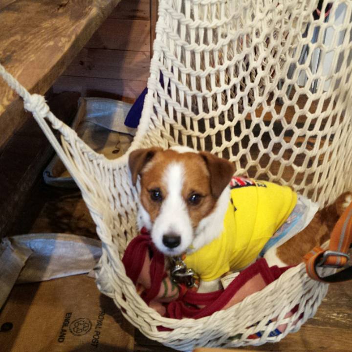 6e8152cf 7e44 4603 80d0 df295d6e474a