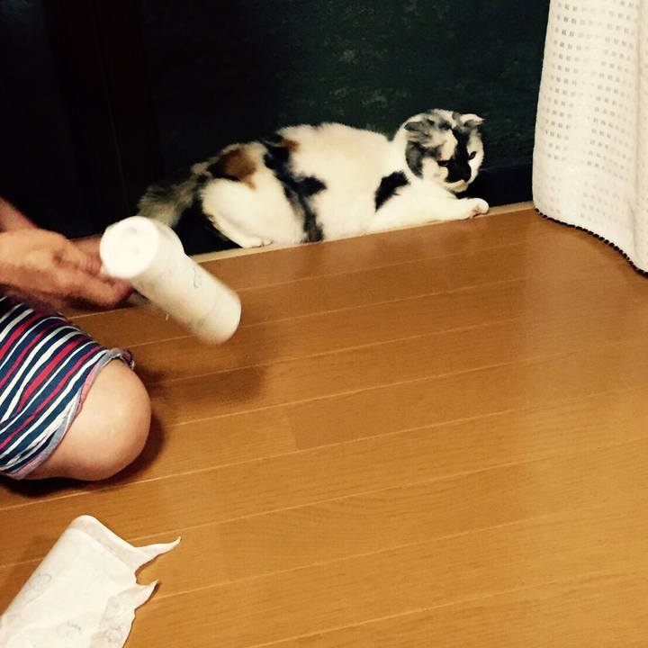 6e816c9a 5197 420f b864 e577bad07dc1