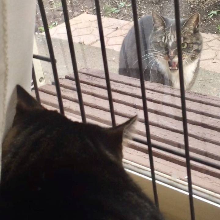 6e818f03 bd9b 45ec b21e 765e5ffb98b6