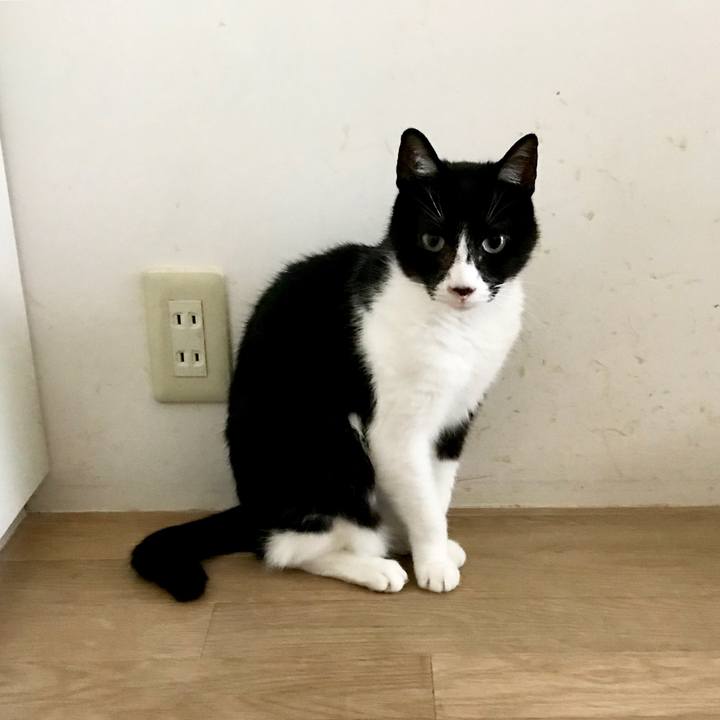 6e818f28 a34d 423f 8cab 3f3cd347fd24