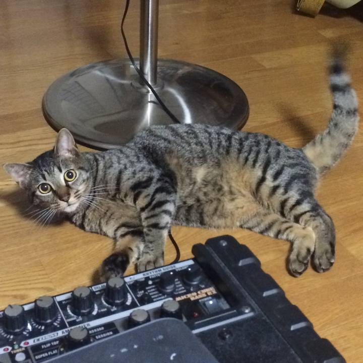 6e81ea84 0f6b 4df9 bea0 50166502ec1b