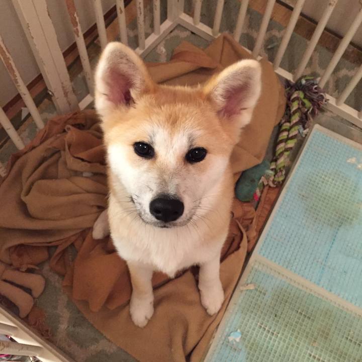 6e83b484 320b 4052 8f97 2c21b8790d99