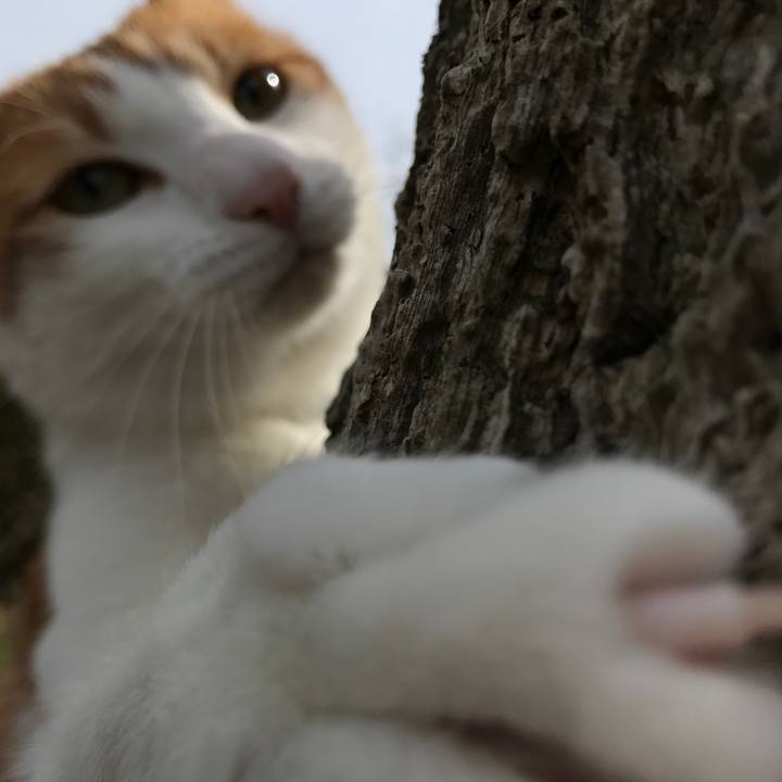 6e842613 5352 4669 86d9 de8d511d4ae3