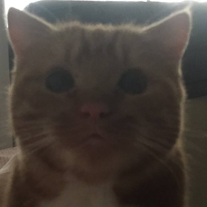 6e84591f 3c5a 4286 bf68 1583a1550d3f