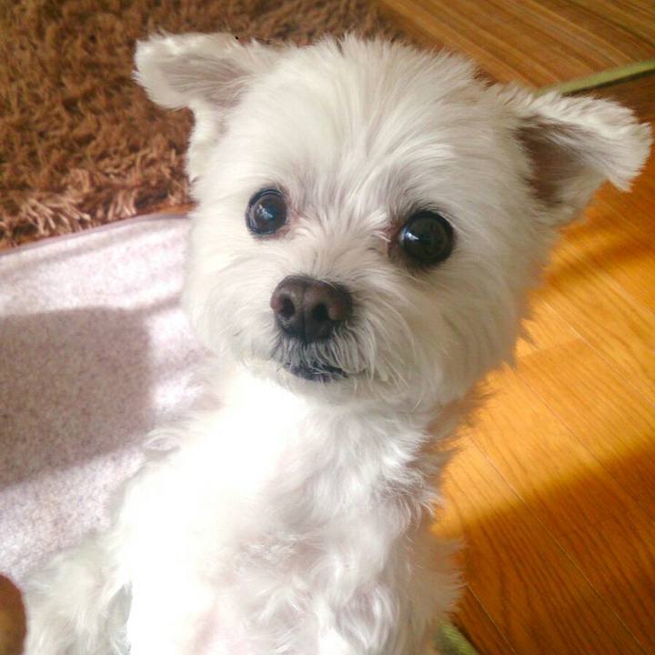 6e84a83b 8e3b 4231 baf2 266d0ba113b4