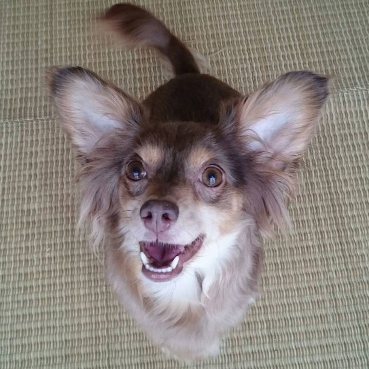 6e851729 1bb4 44f3 ac62 274e31a7cbd0