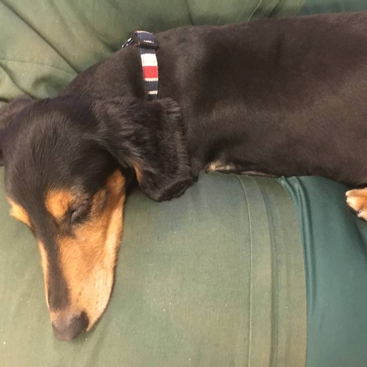 6e8537b3 e18c 4d43 b3cb 97c8bc4e2576