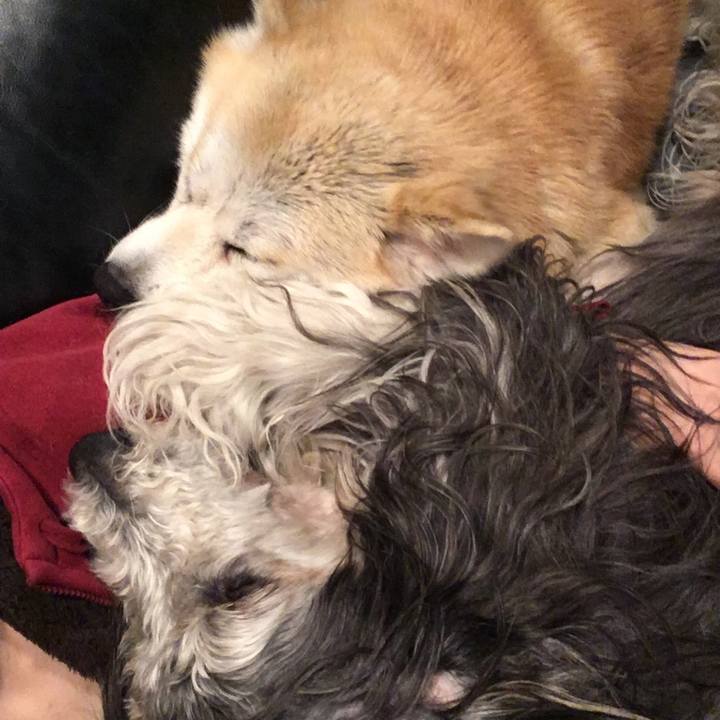 6e8566a2 186f 4a54 9418 986bf833fb4f